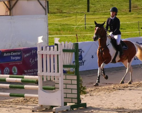 Reitturnier Bad Schmiedeberg 2022