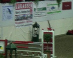 jumper Top Girl (German Riding Pony, 2000, from Top Gun I)