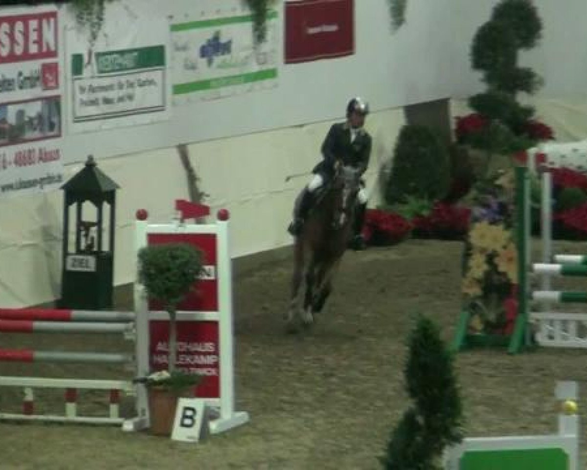 Springhest Vampire 2 (Tysk Ridepony, 2002, fra Vivaldi) - Legdener Ponymeeting 2011 10.11.2011
05 Ponystilspringprüfung Kl E
