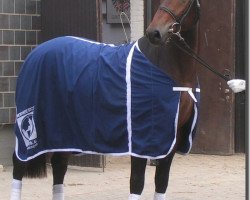 Dressurpferd Rocce (Rheinländer, 2005, von Riccio)