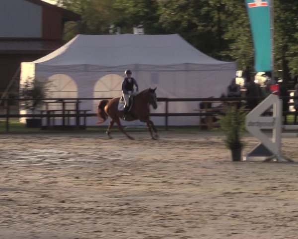 Reitturnier Albersloh 2022