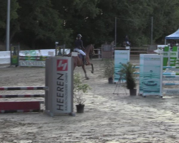 Reitturnier Albersloh 2022