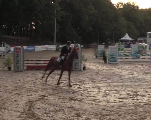 Reitturnier Albersloh 2022