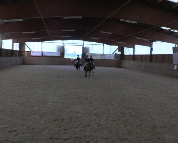 Reitturnier Bad Schmiedeberg 2022