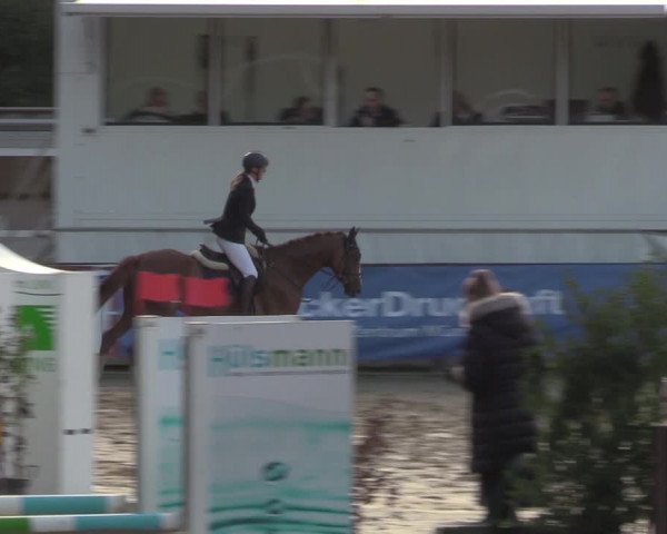 Reitturnier Albersloh 2022
