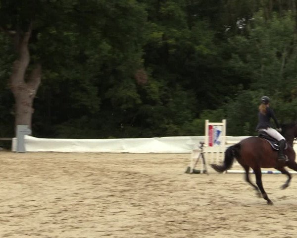 Reitturnier Buchenhof-Ibbenbüren 2022