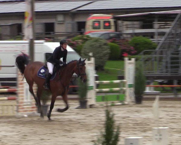 Reitturnier Buchenhof-Ibbenbüren 2022