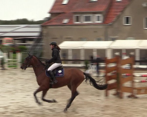 Reitturnier Buchenhof-Ibbenbüren 2022