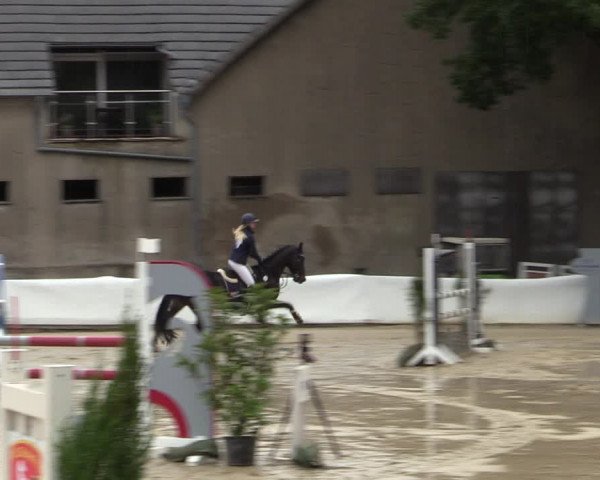 Reitturnier Buchenhof-Ibbenbüren 2022