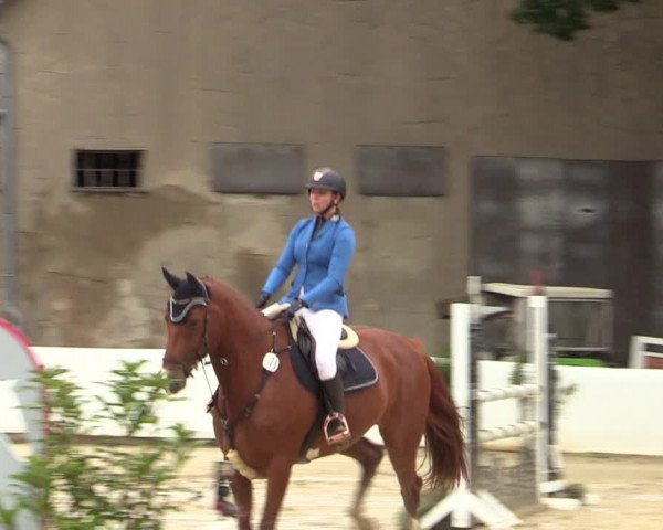 Reitturnier Buchenhof-Ibbenbüren 2022