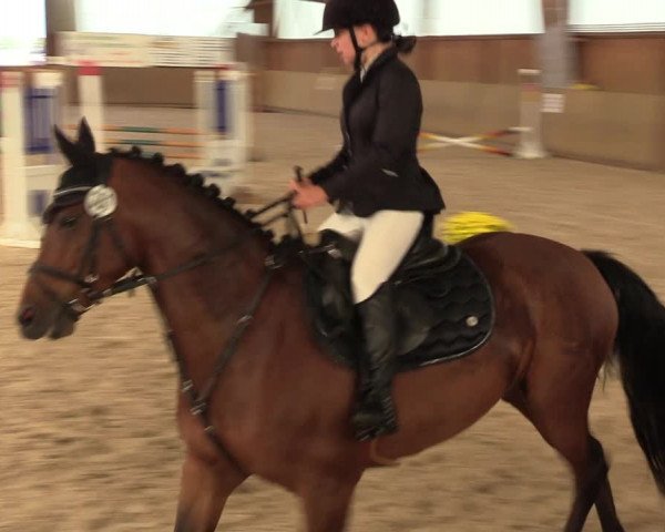 Reitturnier Bad Schmiedeberg 2022