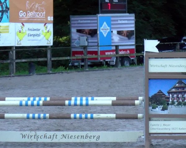 Reitturnier Sins 2022 | Herbst-Concourse Sins-Brand