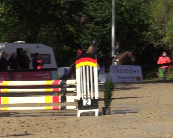 Reitturnier Buchenhof-Ibbenbüren 2022