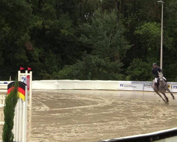 Reitturnier Buchenhof-Ibbenbüren 2022