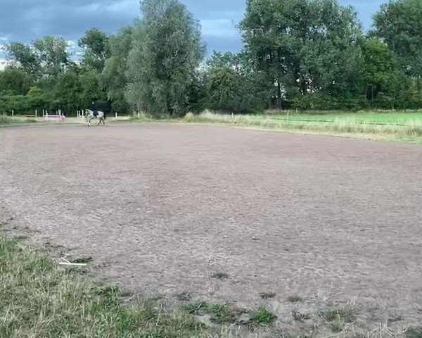 Video of Der Knilch F