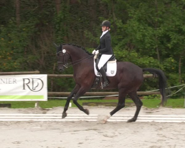 Reitturnier Ditzingen 2022