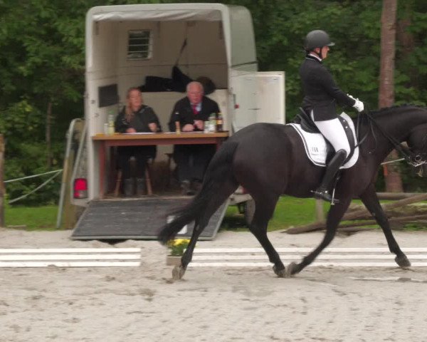 Reitturnier Ditzingen 2022