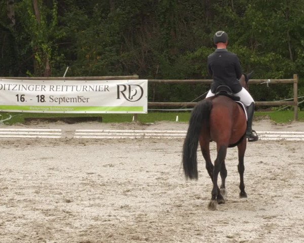 Reitturnier Ditzingen 2022