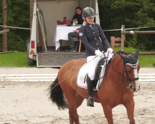 Reitturnier Ditzingen 2022