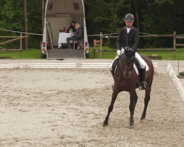 Reitturnier Ditzingen 2022