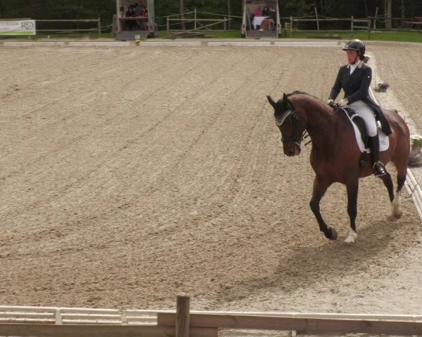 Reitturnier Ditzingen 2022