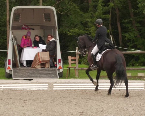 Reitturnier Ditzingen 2022