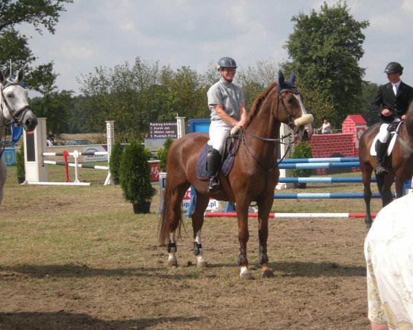 jumper Dalido 3 (Westphalian, 1993, from Dinard L)
