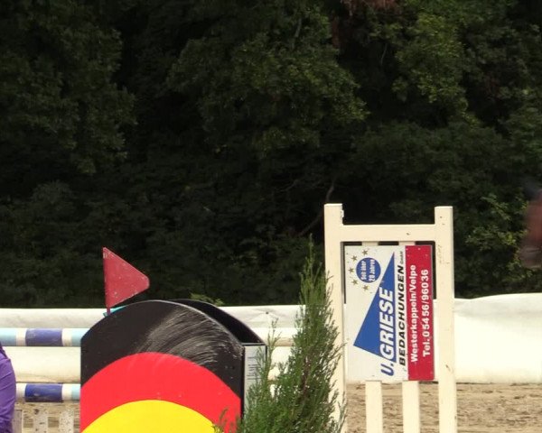 Reitturnier Buchenhof-Ibbenbüren 2022