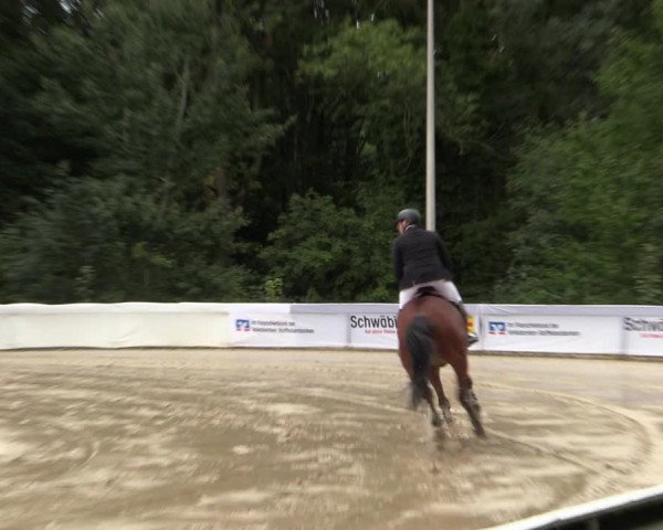 Reitturnier Buchenhof-Ibbenbüren 2022