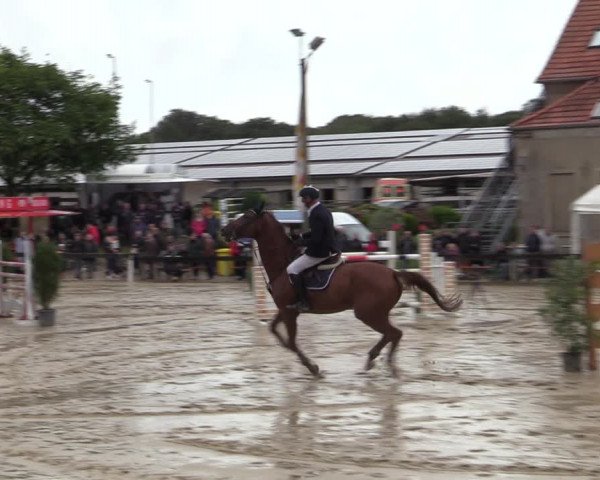 Reitturnier Buchenhof-Ibbenbüren 2022