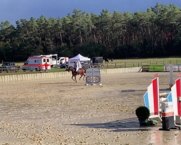 Video di Danica 31