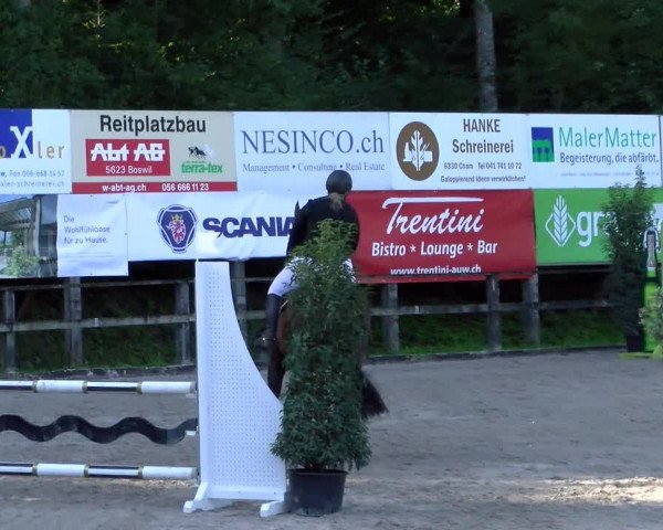 Reitturnier Sins 2022 | Herbst-Concourse Sins-Brand