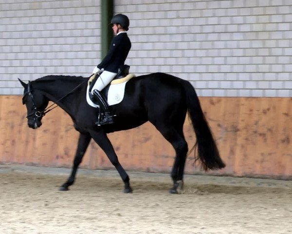 Reitturnier Würselen - Reitanlage Rueben 2022