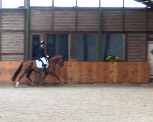 Reitturnier Würselen - Reitanlage Rueben 2022