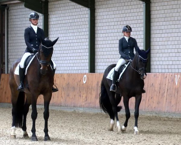 Reitturnier Würselen - Reitanlage Rueben 2022