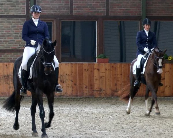 Reitturnier Würselen - Reitanlage Rueben 2022