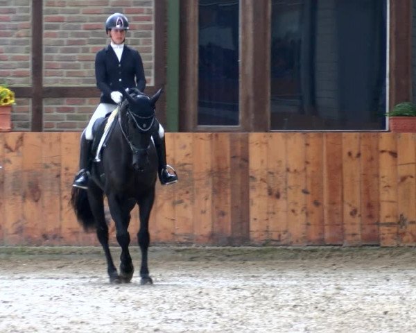 Reitturnier Würselen - Reitanlage Rueben 2022