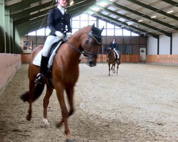 Reitturnier Würselen - Reitanlage Rueben 2022