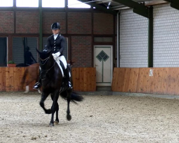Reitturnier Würselen - Reitanlage Rueben 2022