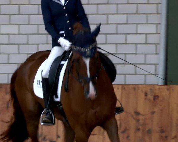 Reitturnier Würselen - Reitanlage Rueben 2022