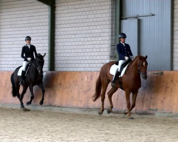 Reitturnier Würselen - Reitanlage Rueben 2022