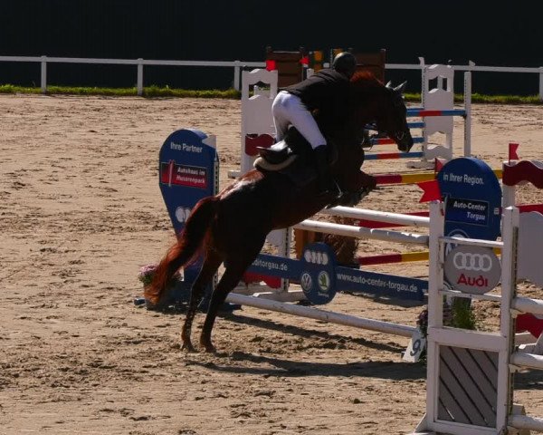 Reitturnier Bad Schmiedeberg 2022