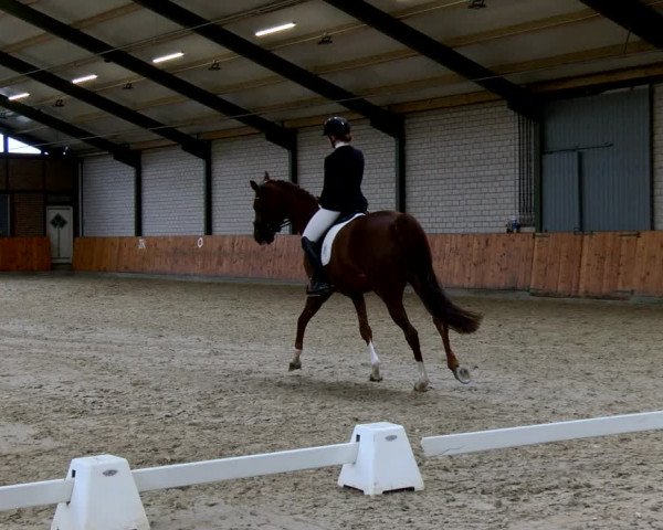 Reitturnier Würselen - Reitanlage Rueben 2022