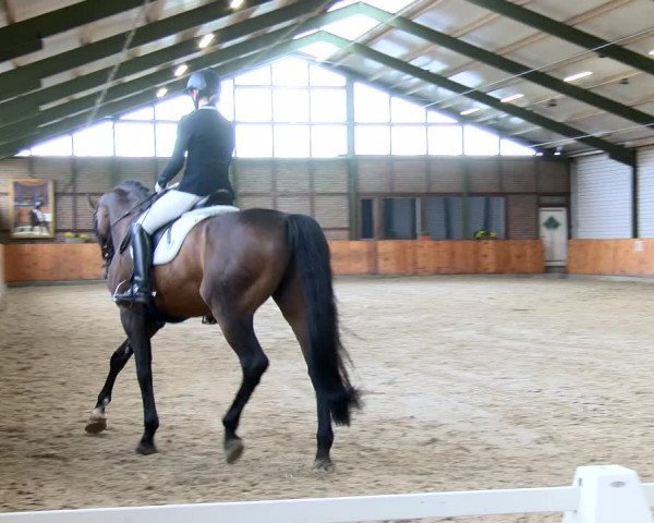 Reitturnier Würselen - Reitanlage Rueben 2022