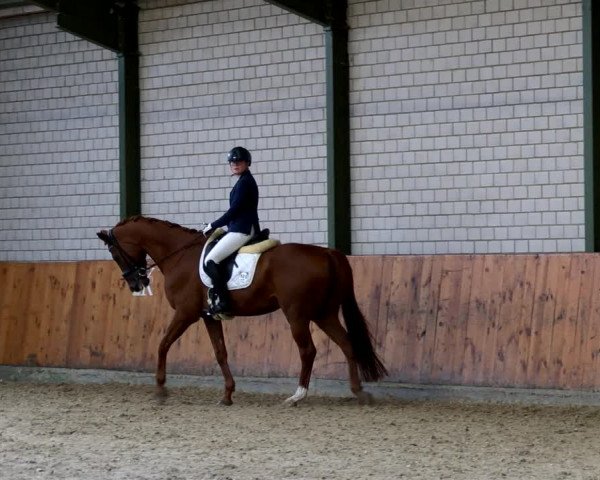 Reitturnier Würselen - Reitanlage Rueben 2022