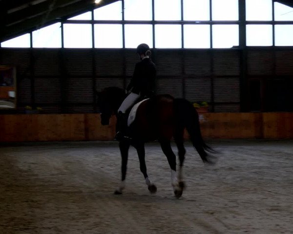 Reitturnier Würselen - Reitanlage Rueben 2022