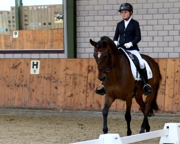 Reitturnier Würselen - Reitanlage Rueben 2022