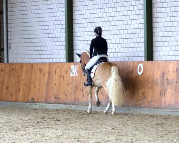 Reitturnier Würselen - Reitanlage Rueben 2022