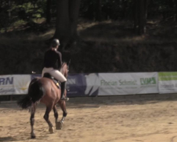 Reitturnier Albersloh 2022