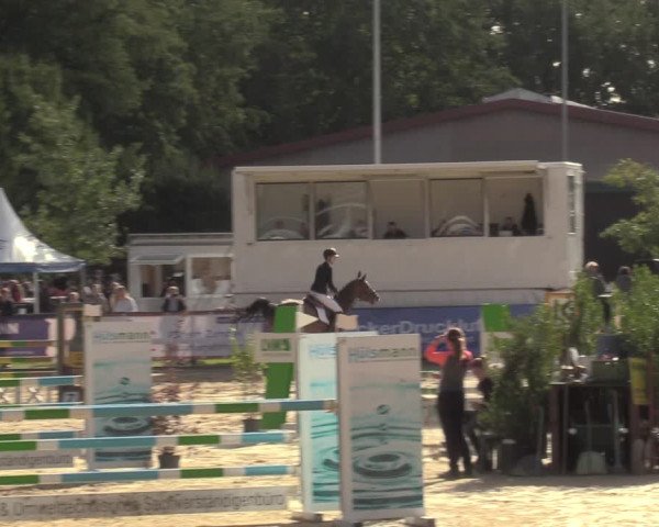 Reitturnier Albersloh 2022